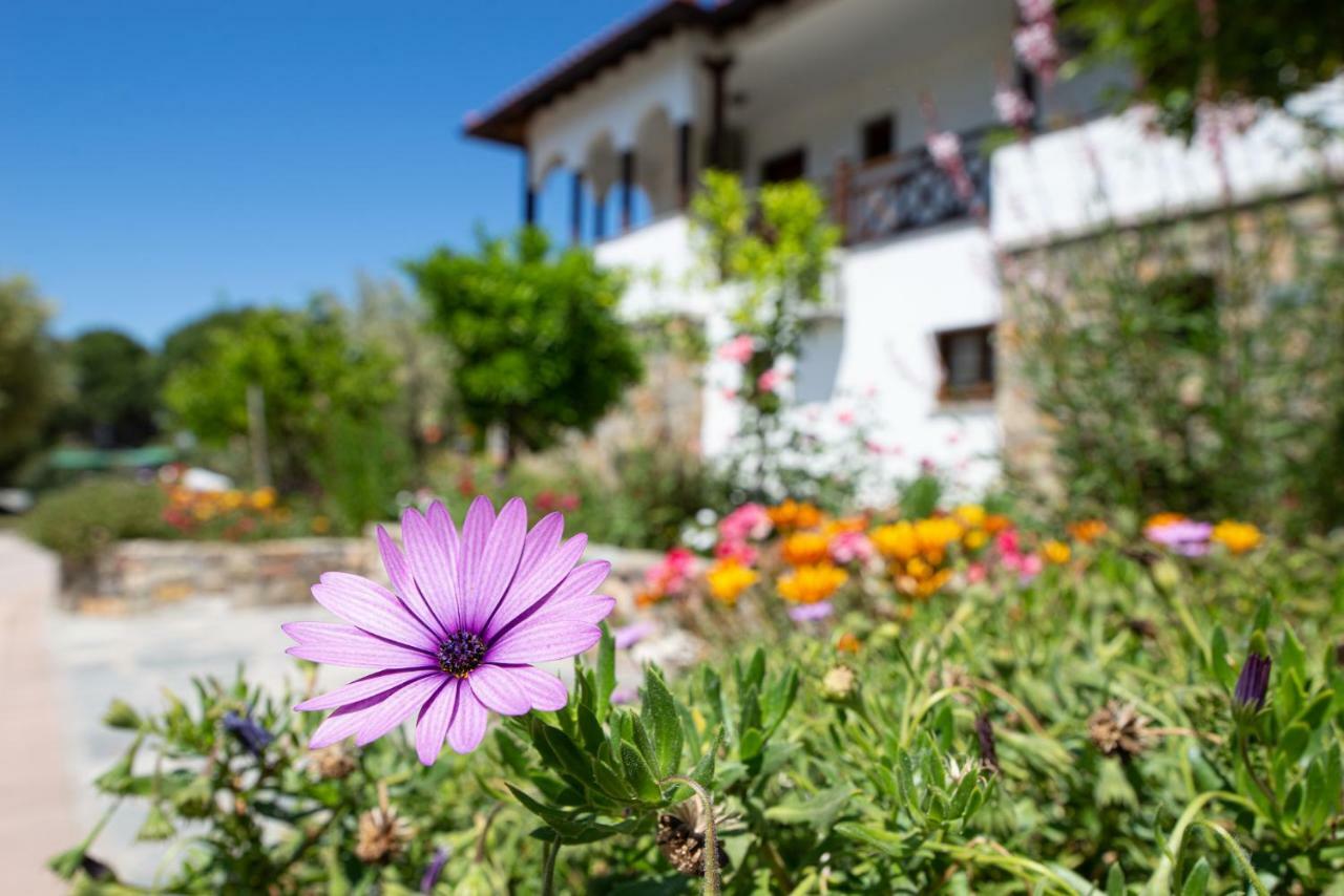Garden House Psarogiannis Apartment Vourvourou Exterior photo